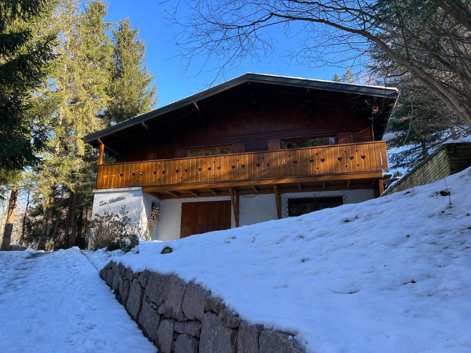 Chalet Les Airelles Mittlach Εξωτερικό φωτογραφία